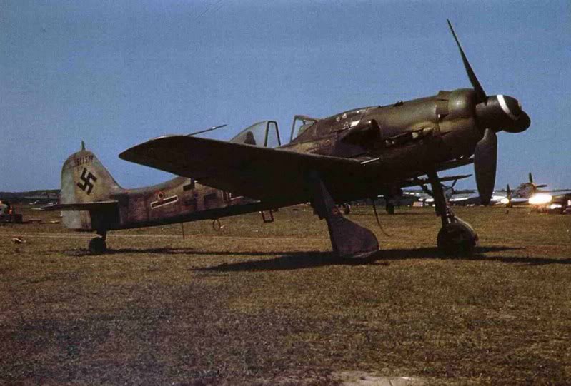 Fw 190 D9 blu 12